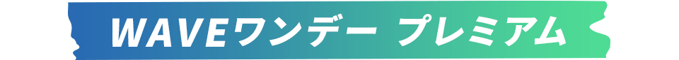 WAVE ワンデー プレミアム
